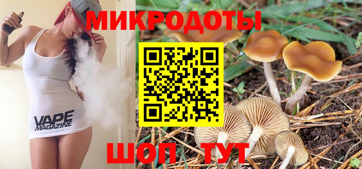 Псилоцибиновые грибы Psilocybine cubensis Россия