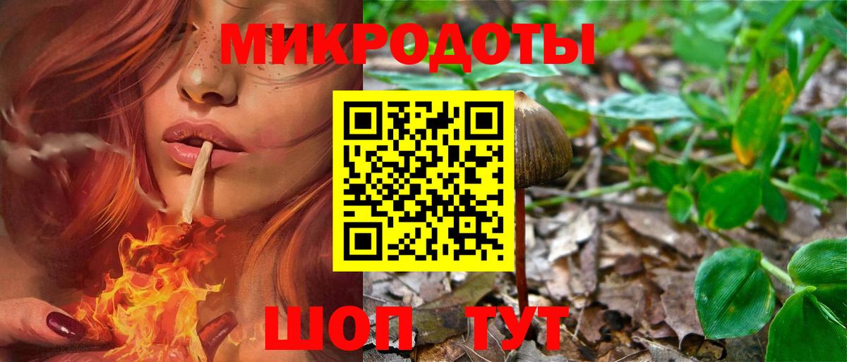 Россия  Галлюциногенные грибы прущие грибы  Вход с VPN 